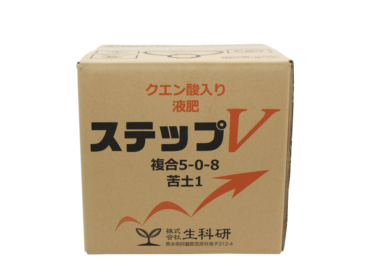 ステップV